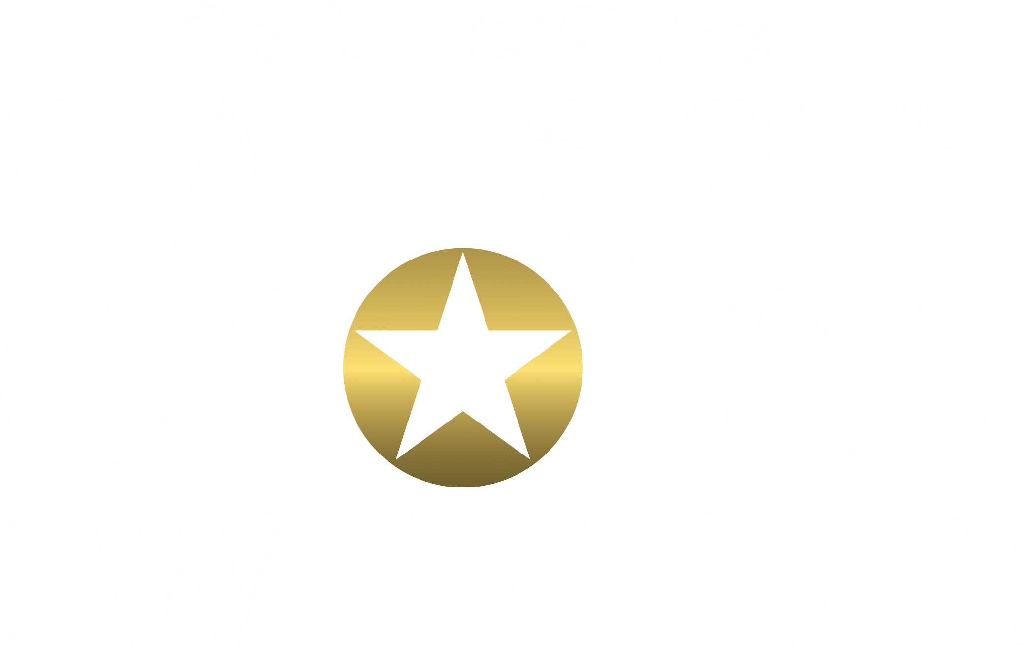 Charleston Choice Logo Winner WHITE
